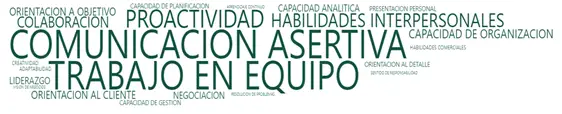 IMAGEN 1: Habilidades blandas en búsquedas laborales según la red social Linkedin.png