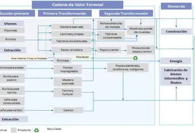 Cooperación académica entre IUEAN y sector maderero