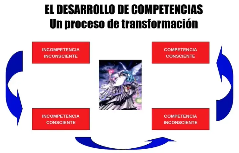 CEDELI.jpg