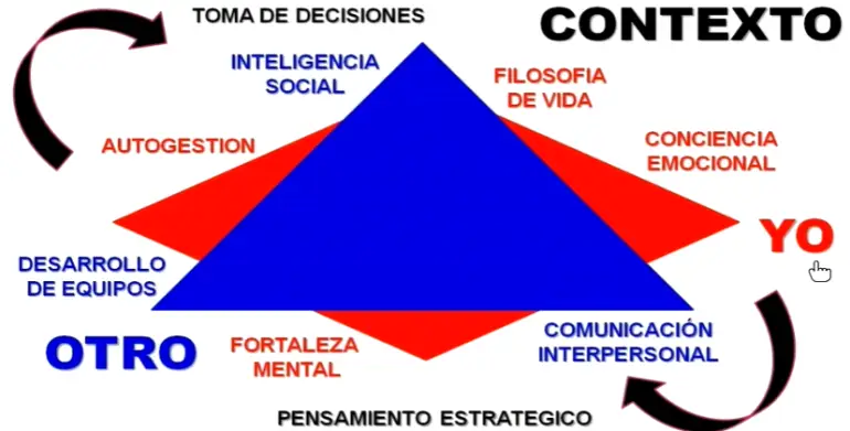 COMPETENCIAS.png